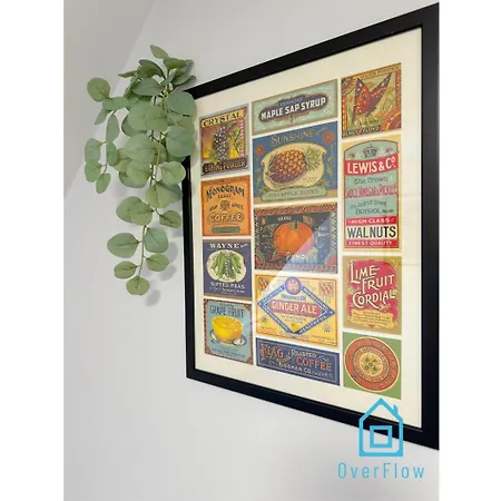 Brand בית אירוח